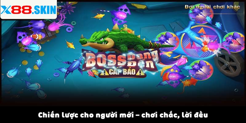 Chiến lược cho người mới – chơi chắc, lời đều