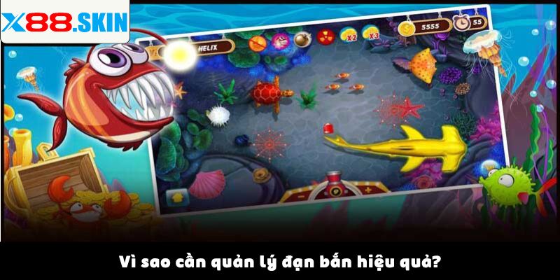 Vì sao cần quản lý đạn bắn hiệu quả?